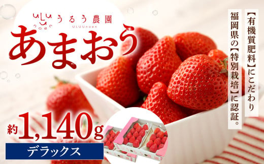 うるう農園 デラックス あまおう 4パック（約1140g）【2025年1月下旬～2025年3月下旬順次発送予定】いちご イチゴ 苺 フルーツ 果物 福岡県産 1513554 - 福岡県北九州市