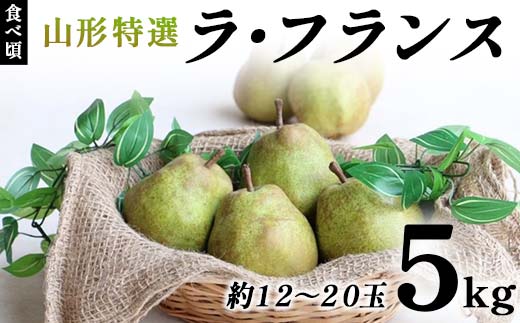 【先行受付（令和7年度発送）】食べ頃 山形特選ラ・フランス5kg FSY-2032 1544772 - 山形県山形県庁