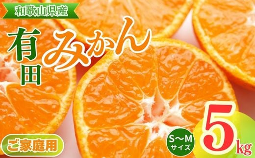 【ご家庭用】和歌山有田みかん約5kg(S、Mサイズ)〇 ｜ みかん 有田みかん 温州みかん ミカン 温州ミカン 柑橘 果物 フルーツ 甘い 先行予約 s m 甘い 5kg ※北海道・沖縄・離島への配送不可 ※2025年11月上旬～2026年1月下旬頃に順次発送予定