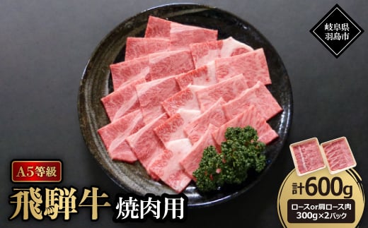 A5等級飛騨牛:焼肉用600g　ロース又は肩ロース肉【1539448】 1455551 - 岐阜県羽島市