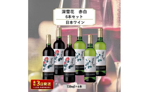 酒 岩の原ワイン 深雪花 赤白6本セット（ 赤 ×3本 白×3本 各720ml） ワイン ギフト 記念日 新潟 上越 1000718 - 新潟県上越市