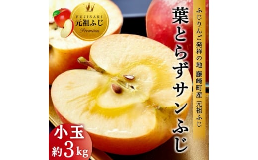 ＜2025年1月下旬より発送＞青森県産 葉とらずサンふじ 小玉 ご家庭用 約3kg(9～11玉)【1558471】 1518665 - 青森県藤崎町