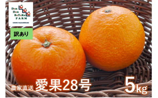 【訳あり】愛果28号 約5kg（小玉） | 柑橘 みかん 果物 フルーツ 愛媛県産 農家直送　※離島への配送不可　※2024年12月下旬より順次発送予定 1514807 - 愛媛県伊方町