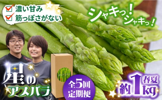 【5回定期便】【星のアスパラ】春＆夏 の グリーン アスパラガス 約1kg / アスパラ 春野菜 野菜 / 南島原市 / ほしのYA [SEY017] 1512614 - 長崎県南島原市