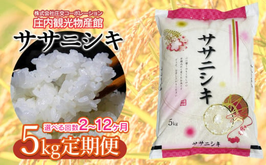 【回数選べる定期便】ササニシキ 精米 5kg×4ヶ月　 庄内観光物産館 1520161 - 山形県鶴岡市