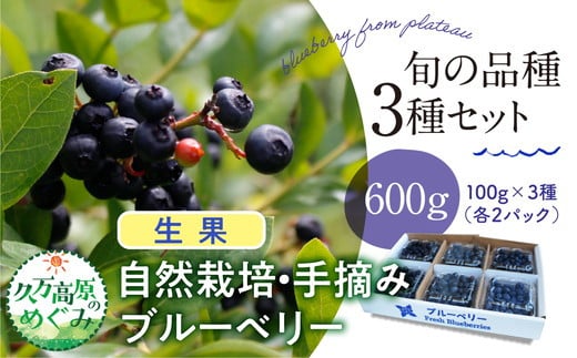 【先行予約】農園直送 手摘み 生果 品種おまかせ ブルーベリー 100g×3種×2パック 計6パック 食べ比べ ※北海道・沖縄・離島への配送不可 ※2025年7月上旬～8月下旬頃に順次発送予定 1497179 - 愛媛県久万高原町