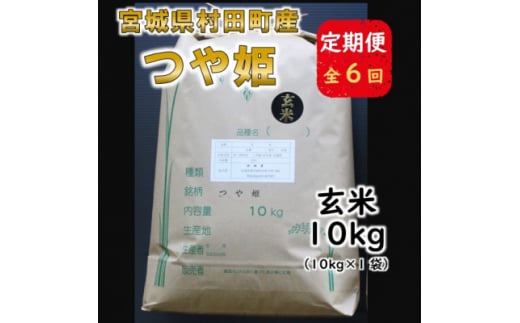 ＜毎月定期便＞宮城県村田町産つや姫　玄米10kg(10kg×1)全6回【4058059】