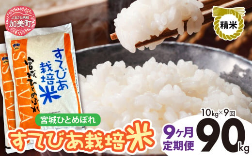 【9回定期便】新米 精米 令和6年度産 すてびあ栽培米 宮城県産 ひとめぼれ90kg (10kg×9回) [菅原精米工業 宮城県 加美町 ] ｜ sw00002-r6-10kg-9 1515744 - 宮城県加美町