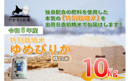 A220 　【 令和6年産 】 ゆめぴりか （ 精 白米 ） 特Aランク 北海道 米 を代表する人気の品種 10㎏ 北海道 鷹栖町 たかすのお米 米 コメ こめ ご飯 白米 お米 ゆめぴりか コメ 白米 1360303 - 北海道鷹栖町