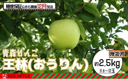 りんご 【 12月発送 】 13度糖度保証 贈答用 王林 約 2.5kg 【 弘前市産 青森りんご 】 1515563 - 青森県弘前市