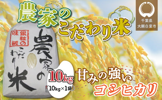 【令和6年産】千葉県 大網白里市産 こだわり米（コシヒカリ）10kg（10kg×1袋） お米 10kg 千葉県産 大網白里市 コシヒカリ 米 精米 こめ 送料無料 851998 - 千葉県大網白里市