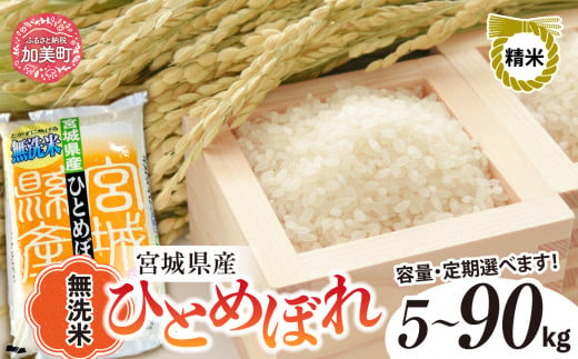 新米 無洗米 令和6年度産 宮城 ひとめぼれ 選べる 5kg 10kg 定期便 3回 〜 9回 [菅原精米工業 宮城県 加美町 ] | sw00003-04-r6