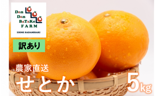 [先行予約][訳あり]せとか 約5kg | 柑橘 みかん 果物 フルーツ 愛媛県産 農家直送 ※離島への配送不可 ※2025年3月上旬頃に順次発送予定