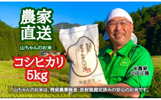 486.令和6年度産 農家直送「山ちゃんのお米」コシヒカリ5kg 残留農薬202項目検査済み 残留放射能測定済み