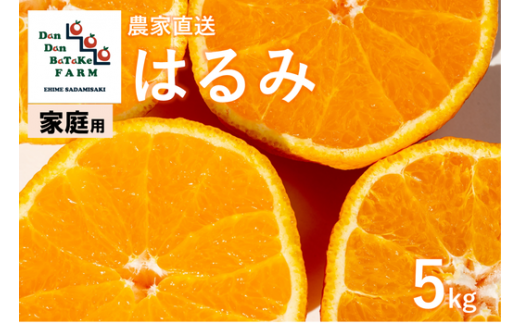 [先行予約][家庭用]はるみ 約5kg | 柑橘 みかん 果物 フルーツ 愛媛県産 農家直送 ※離島への配送不可 ※2025年2月上旬頃に順次発送予定