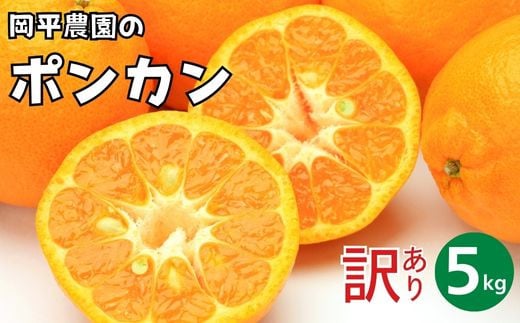 訳あり ポンカン 5kg 7,000円 ぽんかん フルーツ 果物 柑橘 みかん mikan 愛媛みかん ポンカンジュース 甘い 濃厚 国産 健康 ビタミン 美容 健康 サイズミックス 人気 おすすめ 農家直送 産地直送 農家 温州みかん 冬 こたつ 家族 数量限定 愛媛 愛媛県 愛南町 岡平農園 発送期間: 2025年1月中旬〜2月末まで(なくなり次第終了)