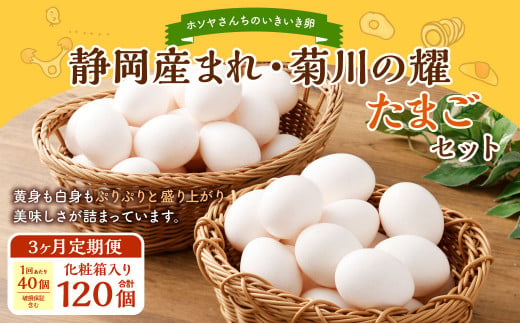 [ 3ヶ月定期便 ]「 ホソヤさんちのいきいき卵 」40個 (割れ補償 5個含む)セット ×3回 計120個 | 静岡産まれ 菊川の耀たまご 化粧箱入 たまご 卵 玉子 生卵 静岡 国産 定期便