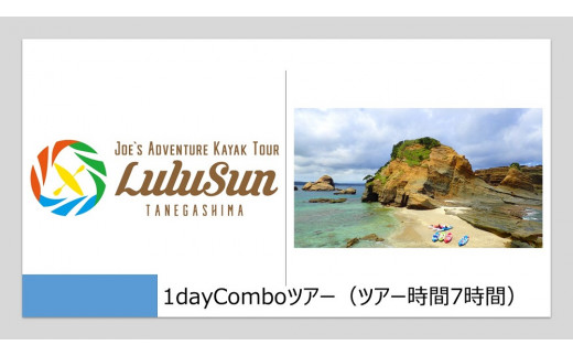 1dayComboツアー(ツアー時間7時間)ランチ付き