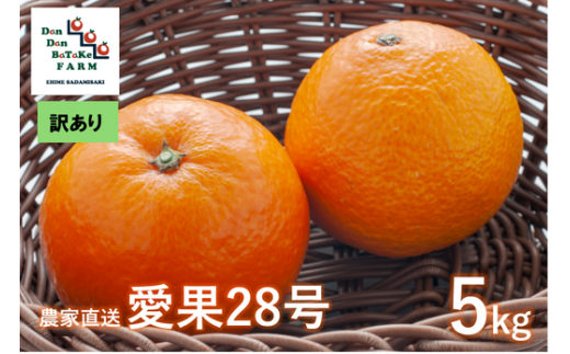 [訳あり]愛果28号 約5kg(小玉) | 柑橘 みかん 果物 フルーツ 愛媛県産 農家直送 ※離島への配送不可 ※2024年12月下旬頃に順次発送予定