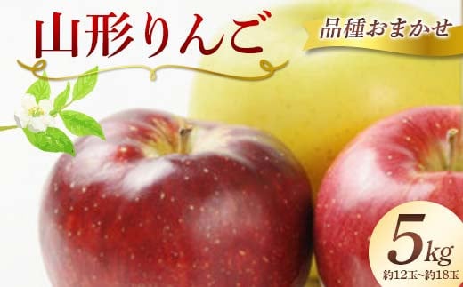 [2025年 先行予約] 山形県産 りんご 約5kg(約12〜18玉) 品種おまかせ(赤色と黄色もおまかせ) フルーツ 果物