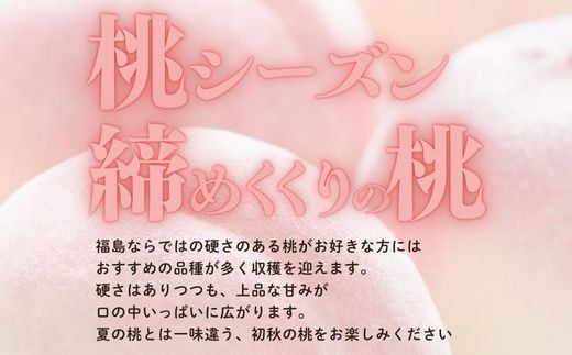 福島県福島市のふるさと納税 No.2408【先行予約】福島 桃　晩成種約3kg【2025年発送】