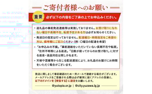 秋田県湯沢市のふるさと納税 秋田名産「稲庭うどん」訳あり600g[X5-5201]