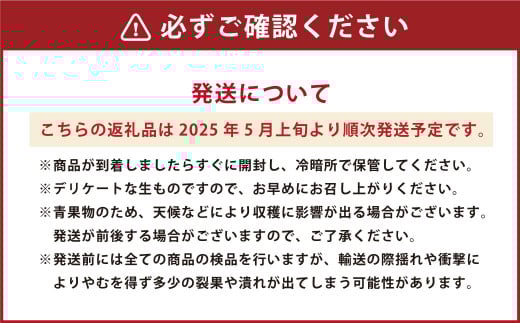 熊本県産 アールスメロン 1玉