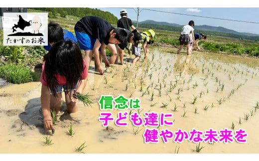 北海道鷹栖町のふるさと納税 A217 　【 令和6年産 】 ゆめぴりか （ 精 白米 ） 特Aランク 北海道 米 を代表する人気の品種 5㎏ 北海道 鷹栖町 たかすのお米 米 コメ こめ ご飯 白米 お米 ゆめぴりか コメ 白米