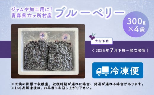 青森県六ヶ所村のふるさと納税 《先行予約 2025年7月下旬～順次出荷》冷凍ブルーベリー300g×4袋