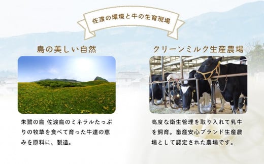 新潟県佐渡市のふるさと納税 佐渡乳業　チーズ＆バターセット