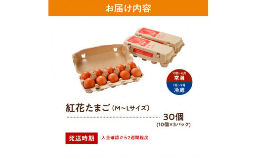 山形県米沢市のふるさと納税 紅花たまご 30個セット 10個×3パック 卵 たまご 赤玉 鶏卵 黄身 白身 産みたて 卵かけ ご飯 親子丼 オムレツ 朝食 たんぱく質 新鮮 栄養 濃厚 甘み コク 山田鶏卵 送料無料 山形県 米沢市