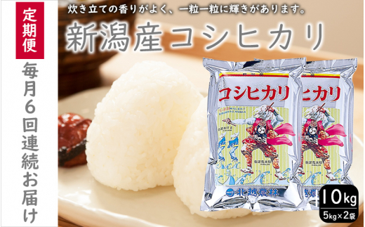 こしひかり 新潟産 コシヒカリ 10kg 毎月6回 連続でお届けします。定期便 米 お米 こめ コメ ごはん 新潟 白米 コシヒカリ ブランド米 銘柄米 お取り寄せ 産地直送 1517223 - 新潟県新潟市