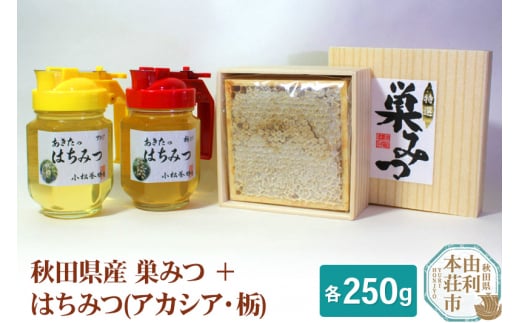 小松養蜂場 はちみつ 秋田県産 100％ 巣みつ(アカシア)  +アカシア・栃はちみつ各 250g セット 376417 - 秋田県由利本荘市