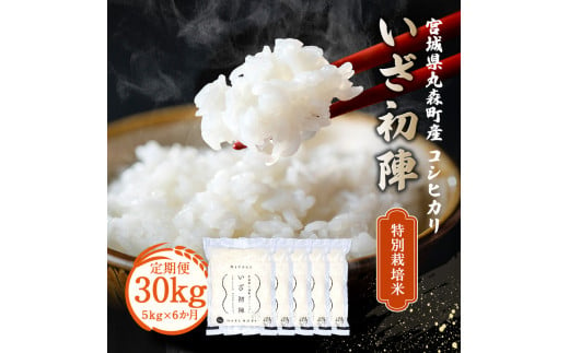 【定期便】令和6年産 新米 精米 ブランド米「いざ初陣」5kg（1kg×5個を6カ月）食味値85以上 整粒歩合80%以上【0122401】 692064 - 宮城県丸森町