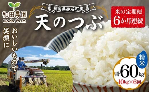 【米の定期便】福島県鏡石町産 和田農園「天のつぶ」精米10kg 6か月連続 F6Q-201 1517928 - 福島県鏡石町