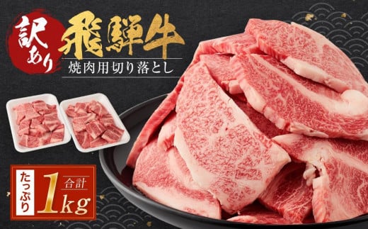 【8月配送】訳あり 飛騨牛焼肉用切り落とし たっぷり1kg （不揃い・大容量）| 飛騨牛 肉 おいしい 飛騨高山 切り落とし 小分け BBQ 正月 肉の匠家 BV027VC08 1516492 - 岐阜県高山市