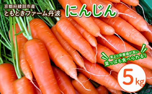 丸かじりできる！甘いにんじん(約5kg)【発送時期：11月中頃〜2月】丸かじり 甘い 人参 安心 安全 季節の野菜 新鮮 農薬不使用 フルーティ 京都 綾部 農家直送 5kg ジュース 緑黄色野菜 野菜 美肌 美白 5キロ 葉 葉っぱ 葉付き にんじん 丸ごと まるごと 赤ちゃん 国産 無農薬 離乳食 749329 - 京都府綾部市