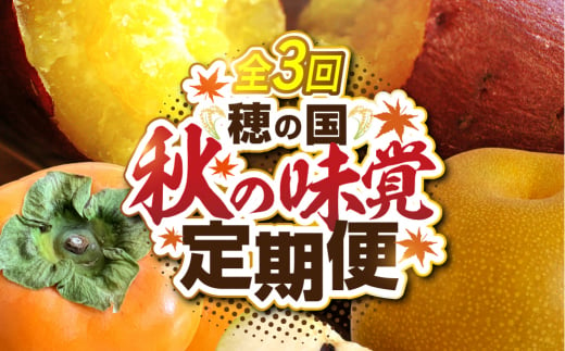 穂の国 秋の味覚 定期便 全3回 梨 柿 焼き芋 和梨 なし 次郎柿 サツマイモ さつまいも 冷凍 簡単調理 旬 フルーツ 先行予約 1517052 - 愛知県豊橋市