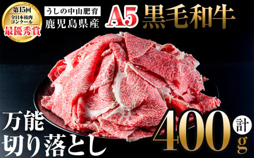 鹿児島県産 黒毛和牛万能切り落とし(計400g /400g×1P) 黒毛和牛 和牛 切り落とし 肉 牛肉 国産 九州産 鹿児島県産 すき焼き しゃぶしゃぶ 小分け A5 日本一 ランキング 人気