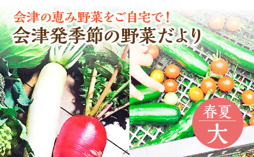 会津発季節の野菜だより（大・春夏）　【07208-0257】 864353 - 福島県喜多方市