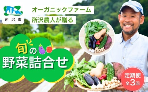 ＜3ヵ月定期便＞オーガニックファーム所沢農人の旬の野菜詰め合わせ(7～8種) | 埼玉県 所沢市 野菜 野菜詰合せ 野菜セット 詰め合わせ 詰合せ セット  おいしい おすすめ プレゼント ギフト お取り寄せ 