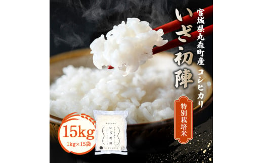 令和6年産 新米 精米 ブランド米「いざ初陣」15kg（1kg×15個）食味値85以上 整粒歩合80%以上【0121801】 692050 - 宮城県丸森町