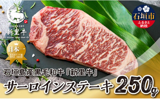 石垣島産 黒毛和牛 新里牛 サーロインステーキ（250g×1）合計250g SZ-28