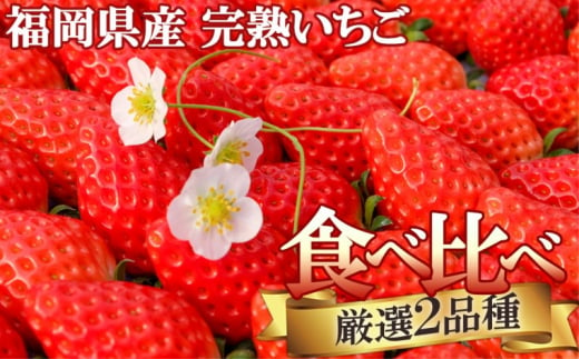 いちご ギフトに最適 いただきいちご園の食べ比べ セット 厳選 2品種 化粧箱入り 果物 デザート イチゴ 苺 1517367 - 福岡県小郡市