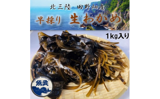 2026年先行受付＜期間限定＞早採り生わかめ 1kg【1482533】