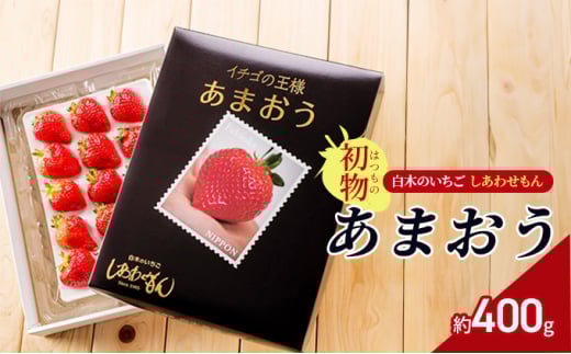 いちご 初物 2024年内にお届け あまおう 約400g (12～15粒) 白木のいちご しあわせもん イチゴ 苺 果物 デザート ※配送不可：沖縄・離島