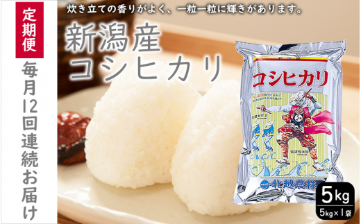 こしひかり 新潟産 コシヒカリ 5kg 毎月12回 連続でお届けします。定期便 米 お米 こめ コメ ごはん 新潟 白米 コシヒカリ ブランド米 銘柄米 お取り寄せ 産地直送 1517221 - 新潟県新潟市