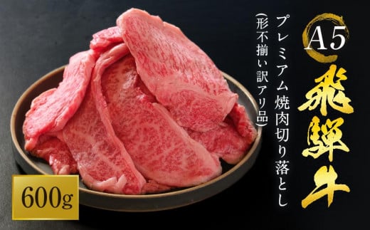 A5等級 飛騨牛 プレミアム 焼肉 切り落とし 600g | 牛肉 黒毛和牛 BBQ 肉料理 ブランド牛 訳あり 不揃い 株式会社岩ト屋 HF042【飛騨牛 和牛ブランド 飛騨牛 黒毛和牛 飛騨牛 岐阜 高山市 飛騨牛】