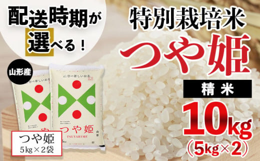 【配送時期が選べる】令和6年産米 山形産 特別栽培米 つや姫 10kg(5kg×2) 精米 令和6年産 新米も選べる 発送時期指定 発送時期が選べる 発送時期 新米 発送月 時期 米  FY24-445