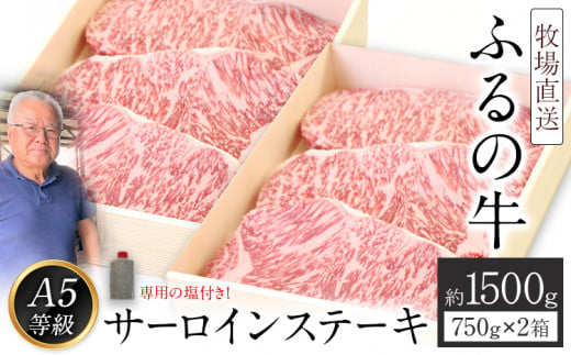 ふるの牛（黒毛和牛）特選サーロインステーキ 1500g 1箱(250g×3枚)×2箱 ゲランド塩付き A5《30日以内に出荷予定(土日祝除く)》 795309 - 福岡県鞍手町